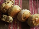 Снимка 1 от рецепта за Самардалови хлебчета със сушен лук