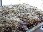 Снимка 1 от рецепта за Бисквитена торта с крем пудинг