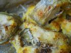Снимка 4 от рецепта за Паниран хек на фурна