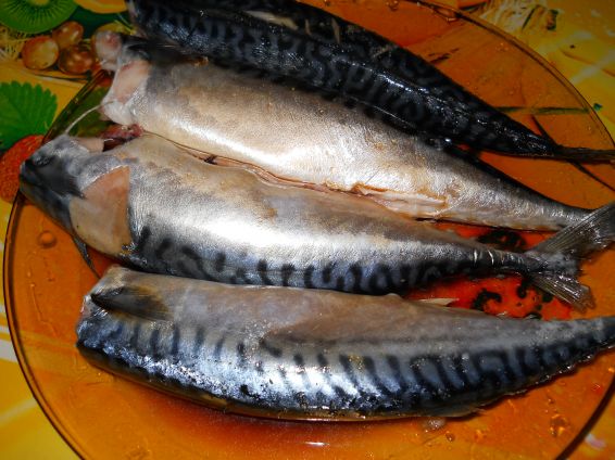 Снимка 2 от рецепта за Печена скумрия на тиган Снимка 2 от рецепта за Печена скумрия на тиган