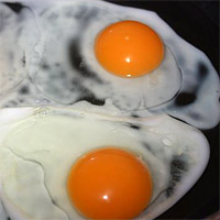 Полезните свойства на яйцата